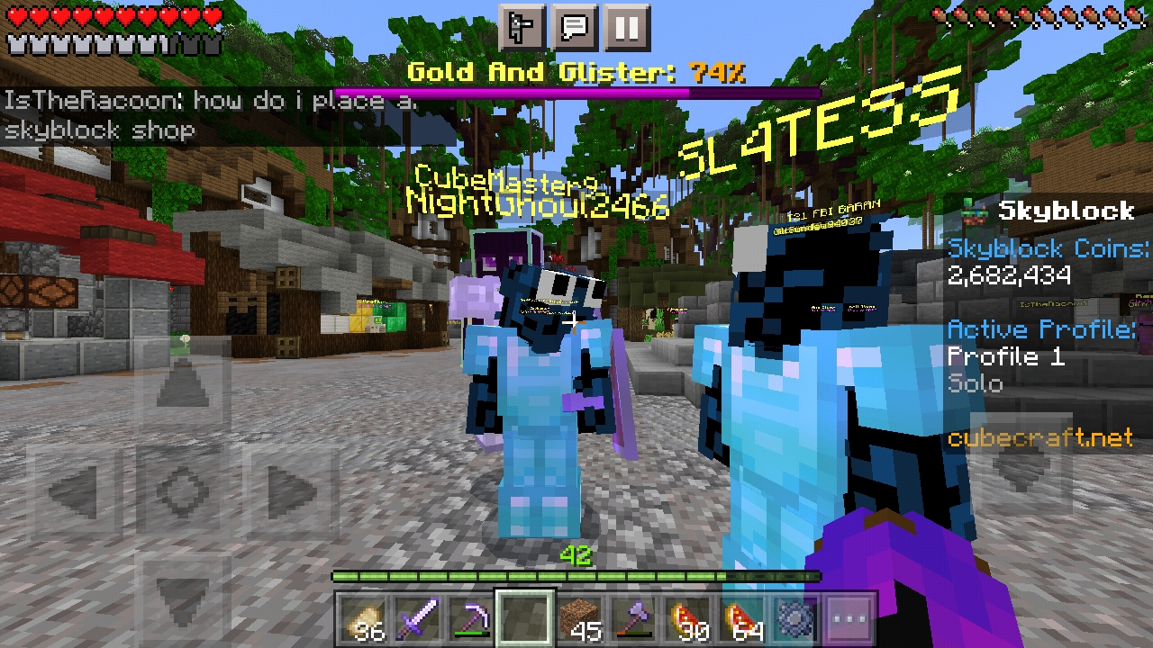 Screenshot_20211009-194931_Minecraft.jpg