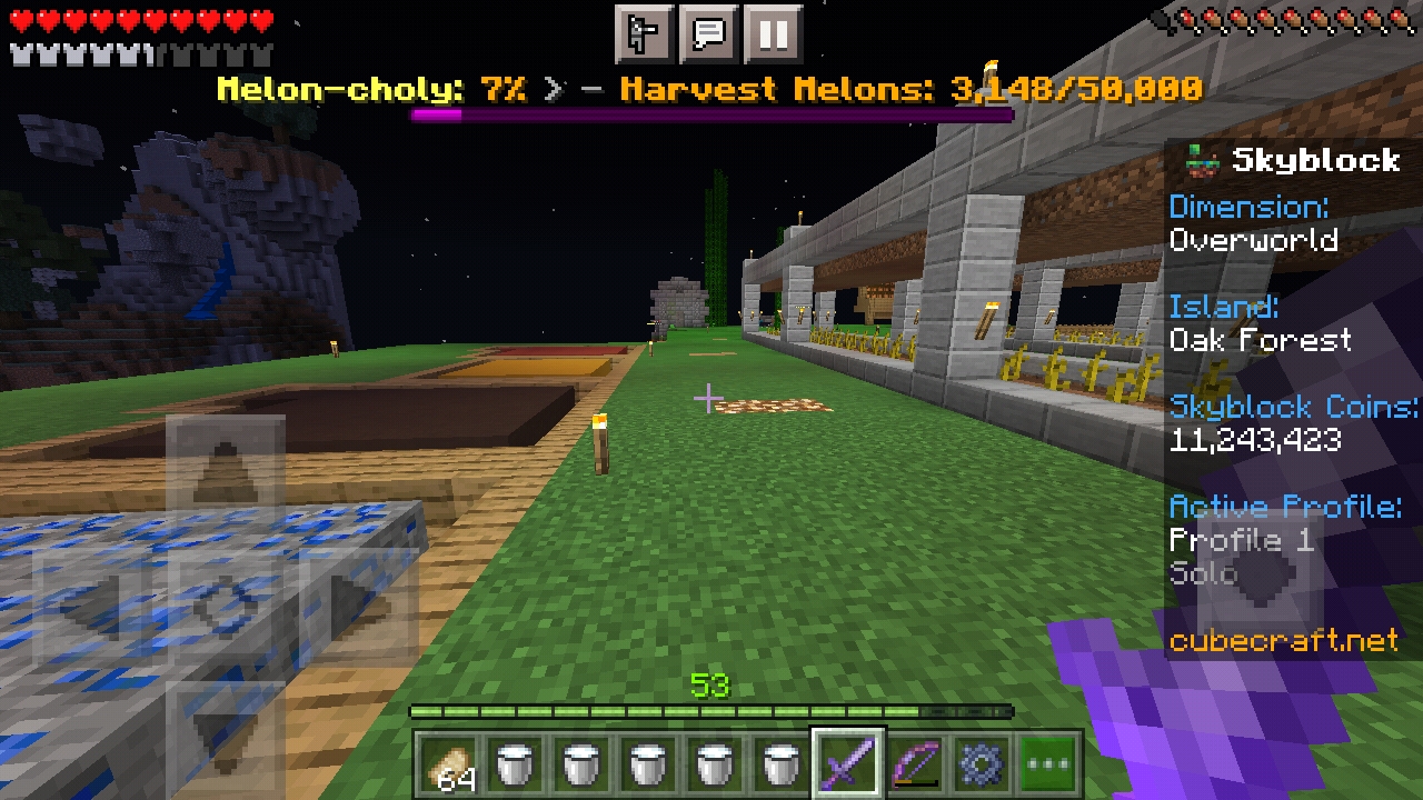 Screenshot_20211015-094705_Minecraft.jpg