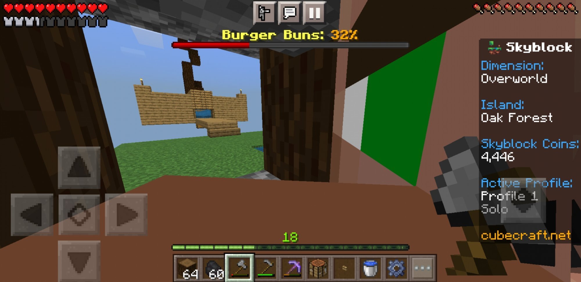 Screenshot_20220129-231541_Minecraft.jpg