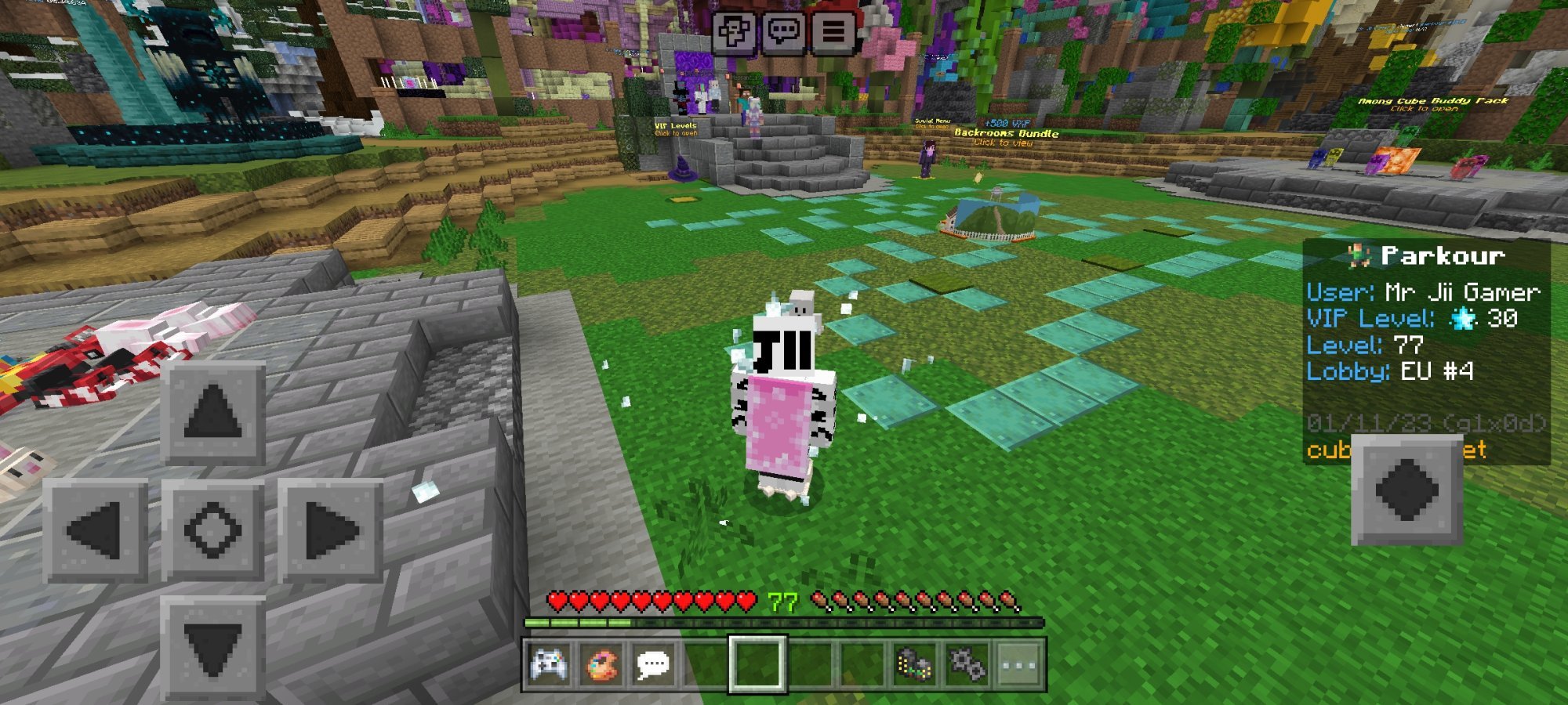 Screenshot_2023-11-01-17-45-46-035_com.mojang.minecraftpe.jpg