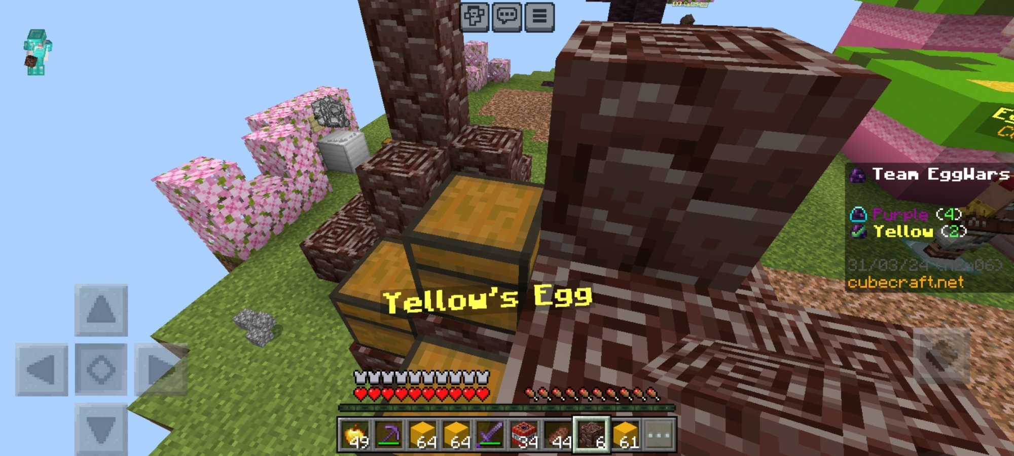 Screenshot_20240330_201911_Minecraft.jpg