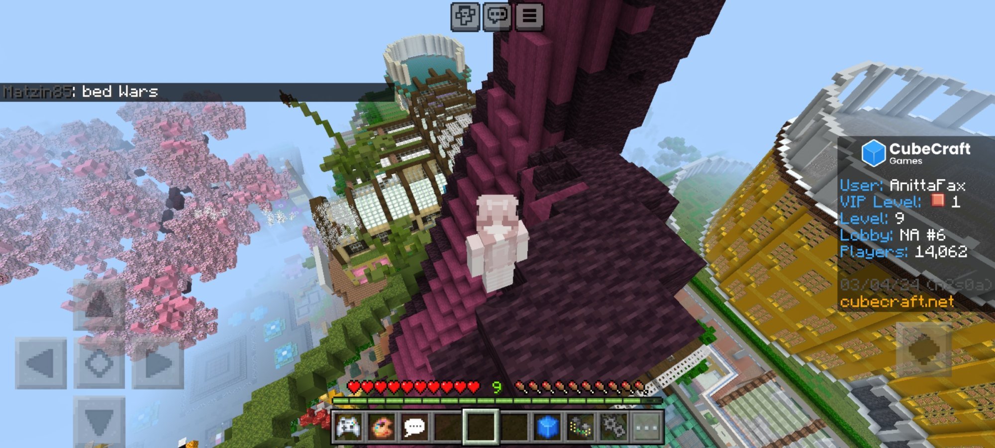 Screenshot_20240402_183342_Minecraft.jpg