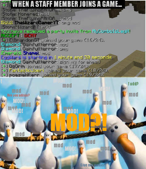 seagullsMOD.png