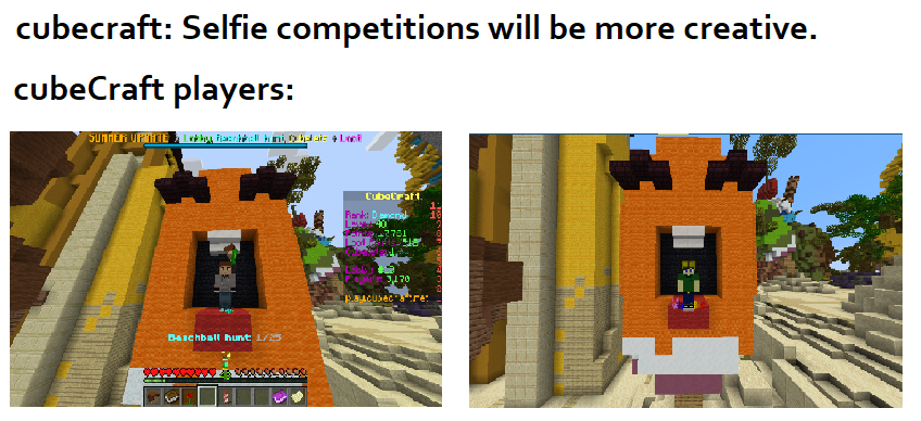 selfie competition meme.png