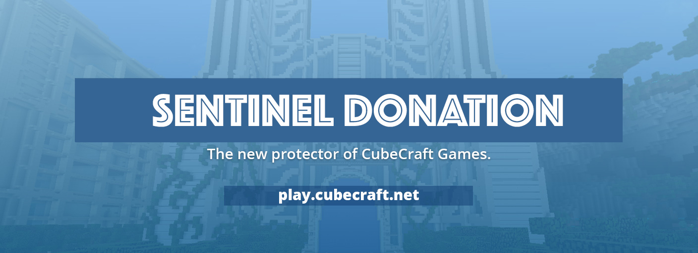 SENTINEL DONATION.jpg