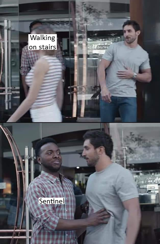 sentinel.png