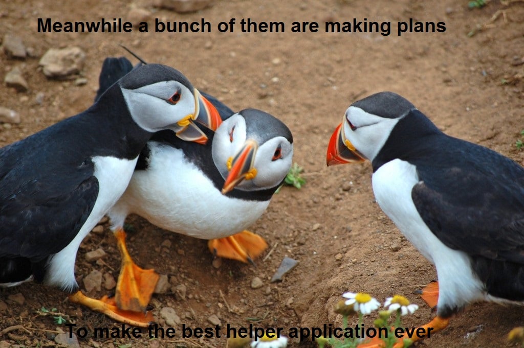 Skomer_Puffins1-1024x681.jpg