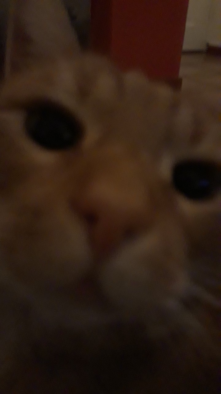 Snapchat-1568102870.jpg