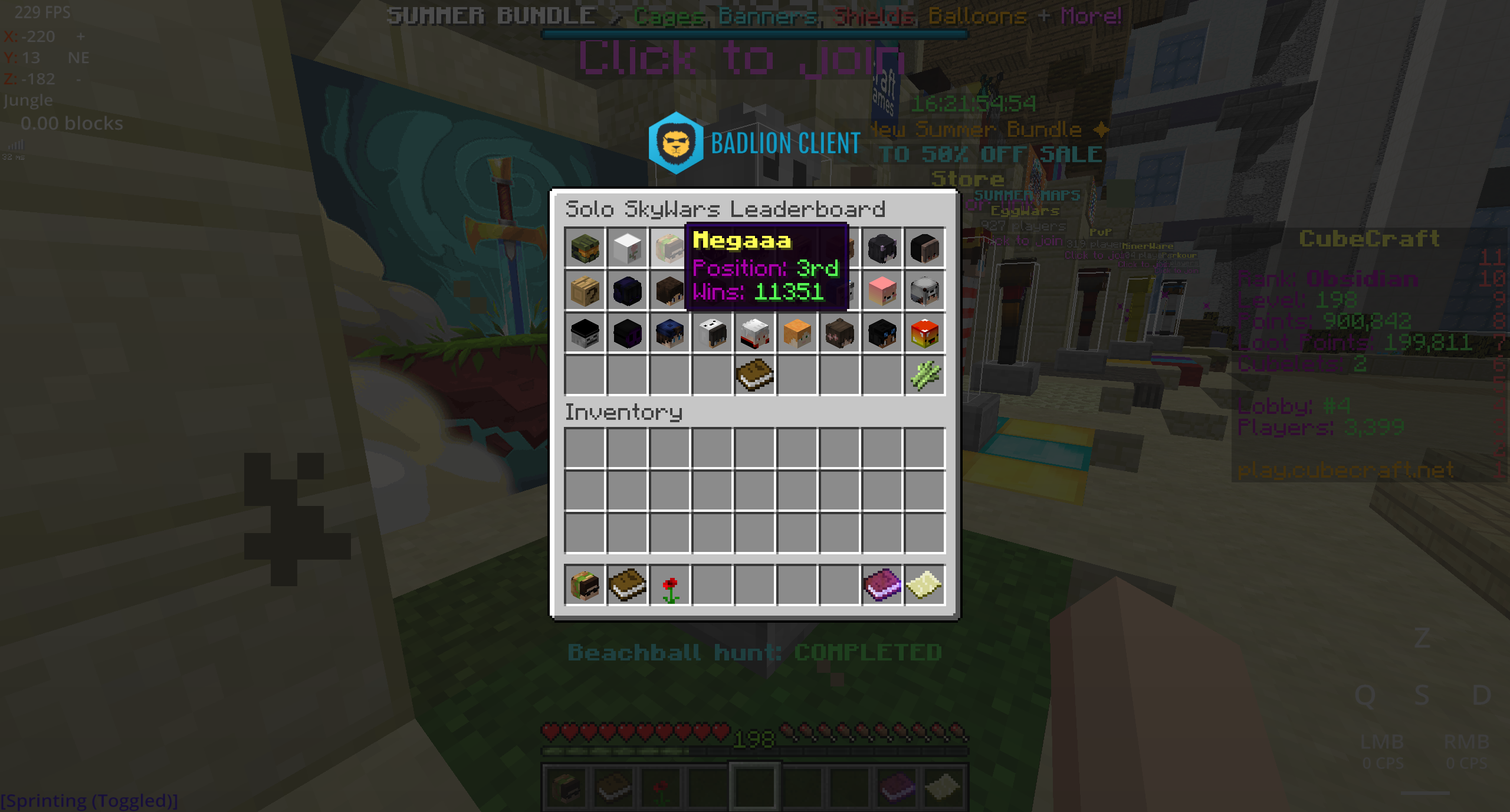 Solo Skywars.png