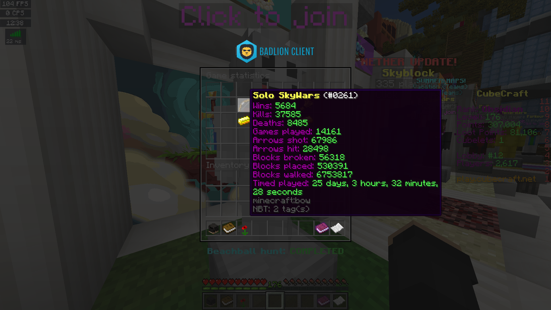 Solo Skywars.png