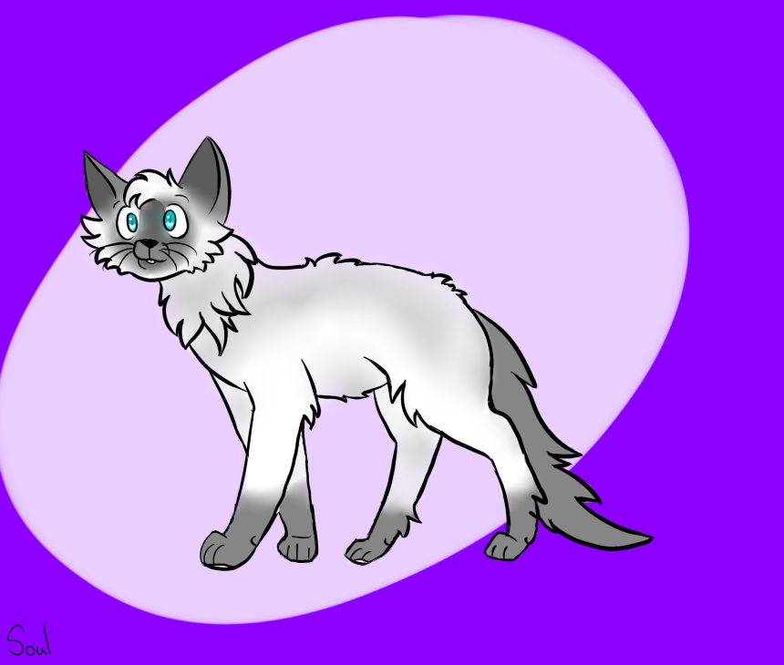 Soul Drawing.png