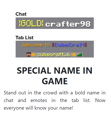 special name in game.png