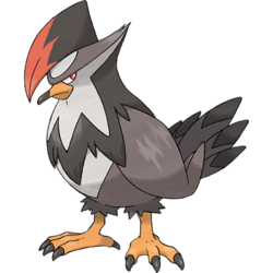 Staraptor.png