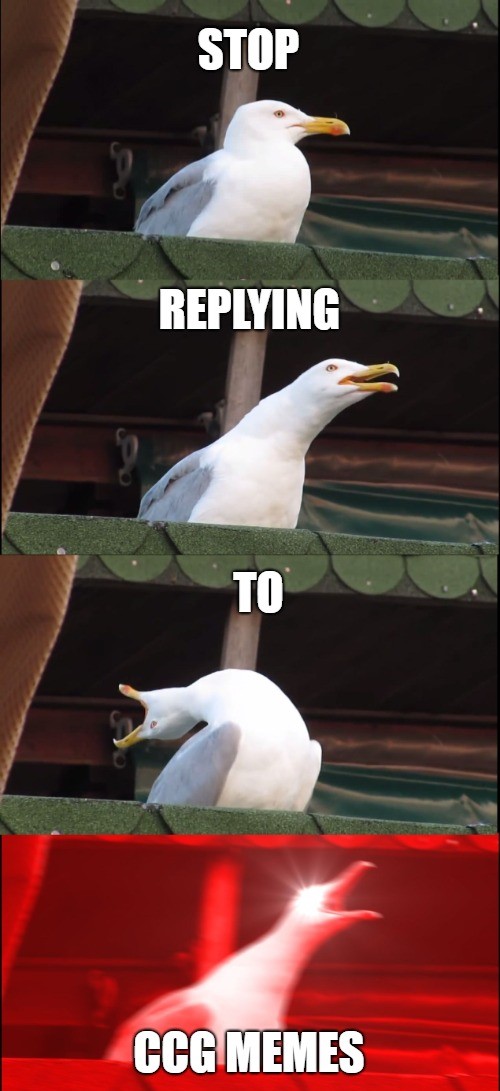 stop replying meme.jpg