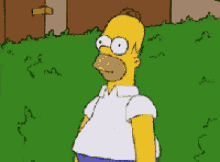 the-simpsons-homer-simpson.gif