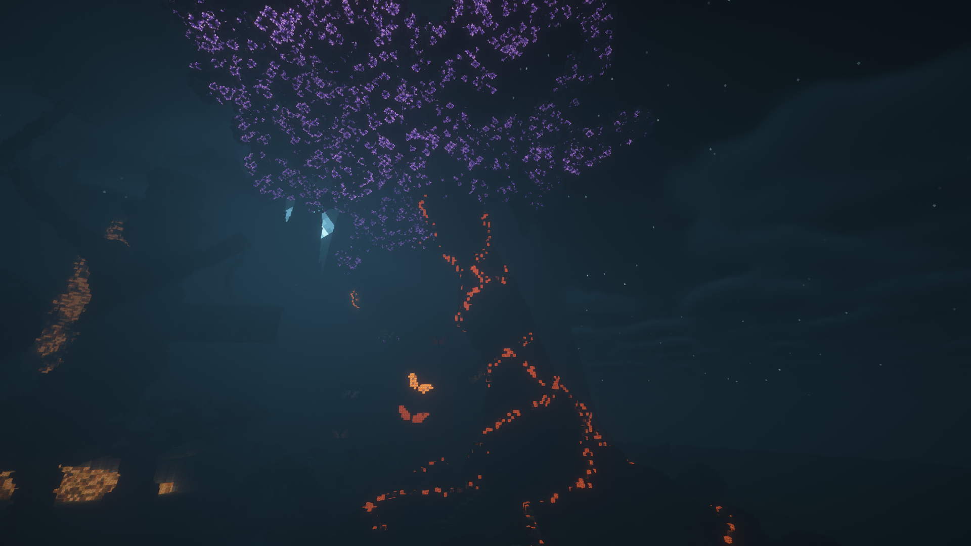 tree at night.png