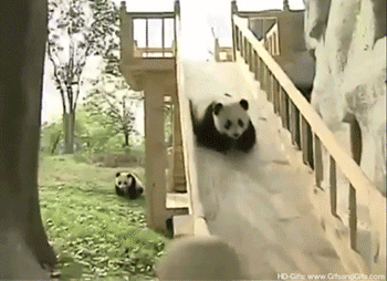 tumblr_mjcpgxpPKL1rjriezo1_400.gif