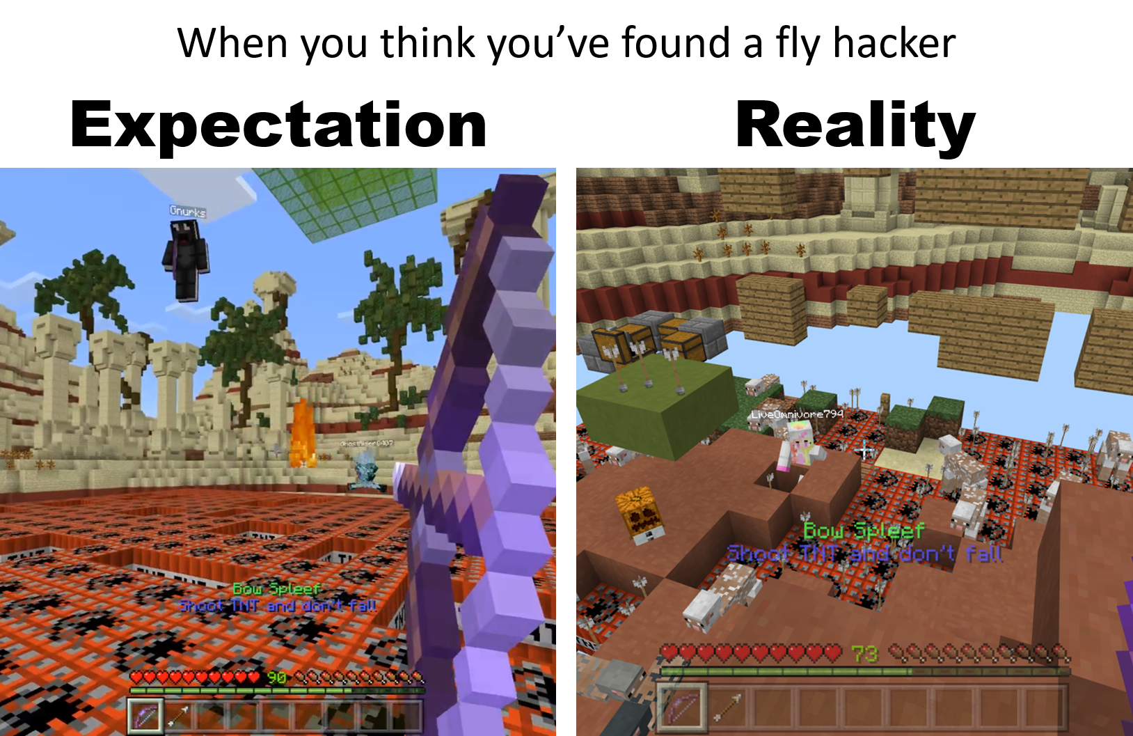 Unintentional fly hacker.png