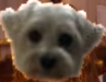 unknown (4).png