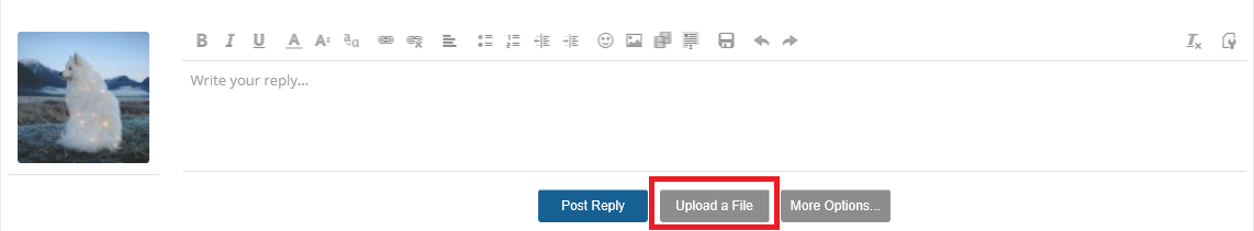 upload a file example.png