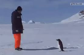 upload_2014-1-15_7-14-32.jpeg