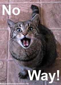upload_2016-6-27_19-35-4.png