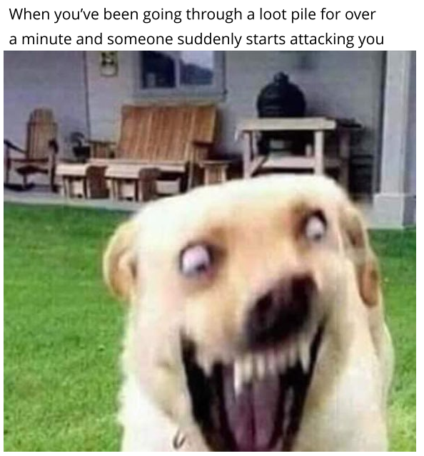 upload_2018-8-5_17-2-14.png