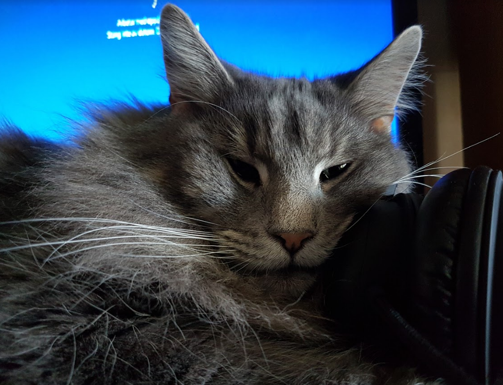 upload_2019-11-16_15-51-34.png