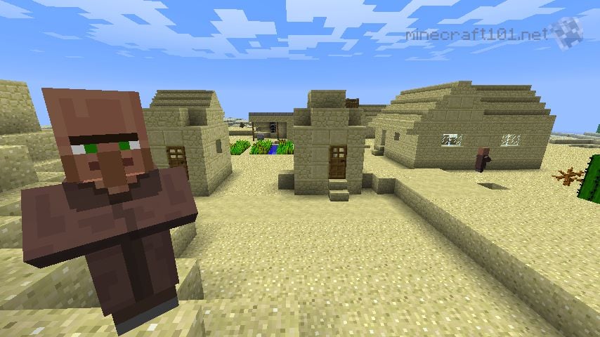 village-plus-villager.jpg