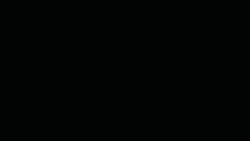 WardenWand.gif