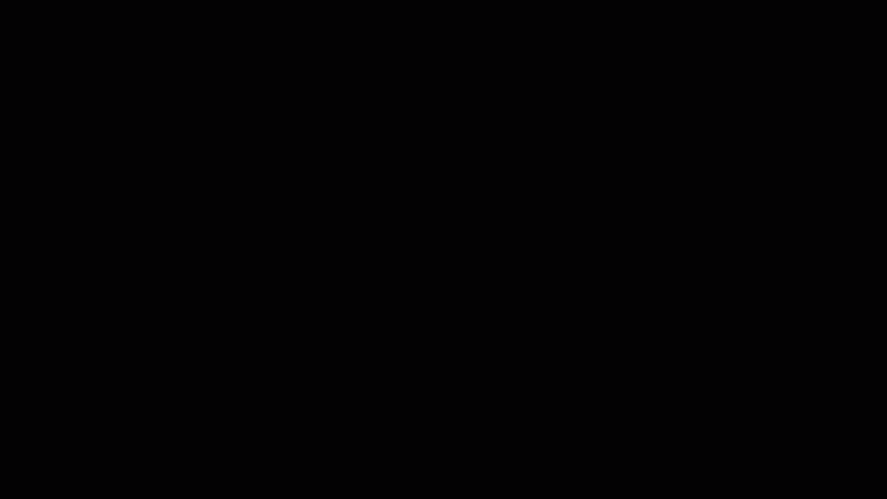 WardenWandHit.gif