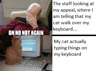 Why-Do-Cats-Like-Keyboards.jpg