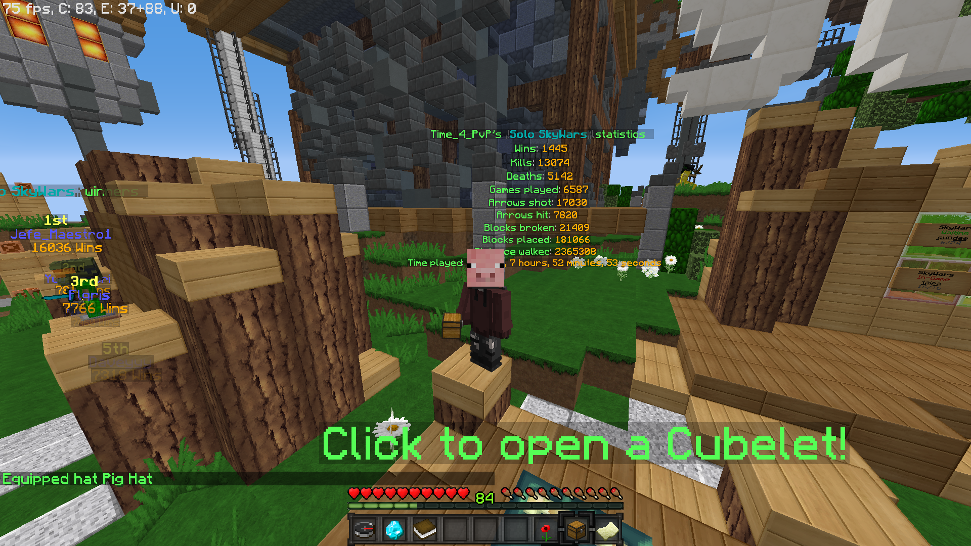 wins sw.png