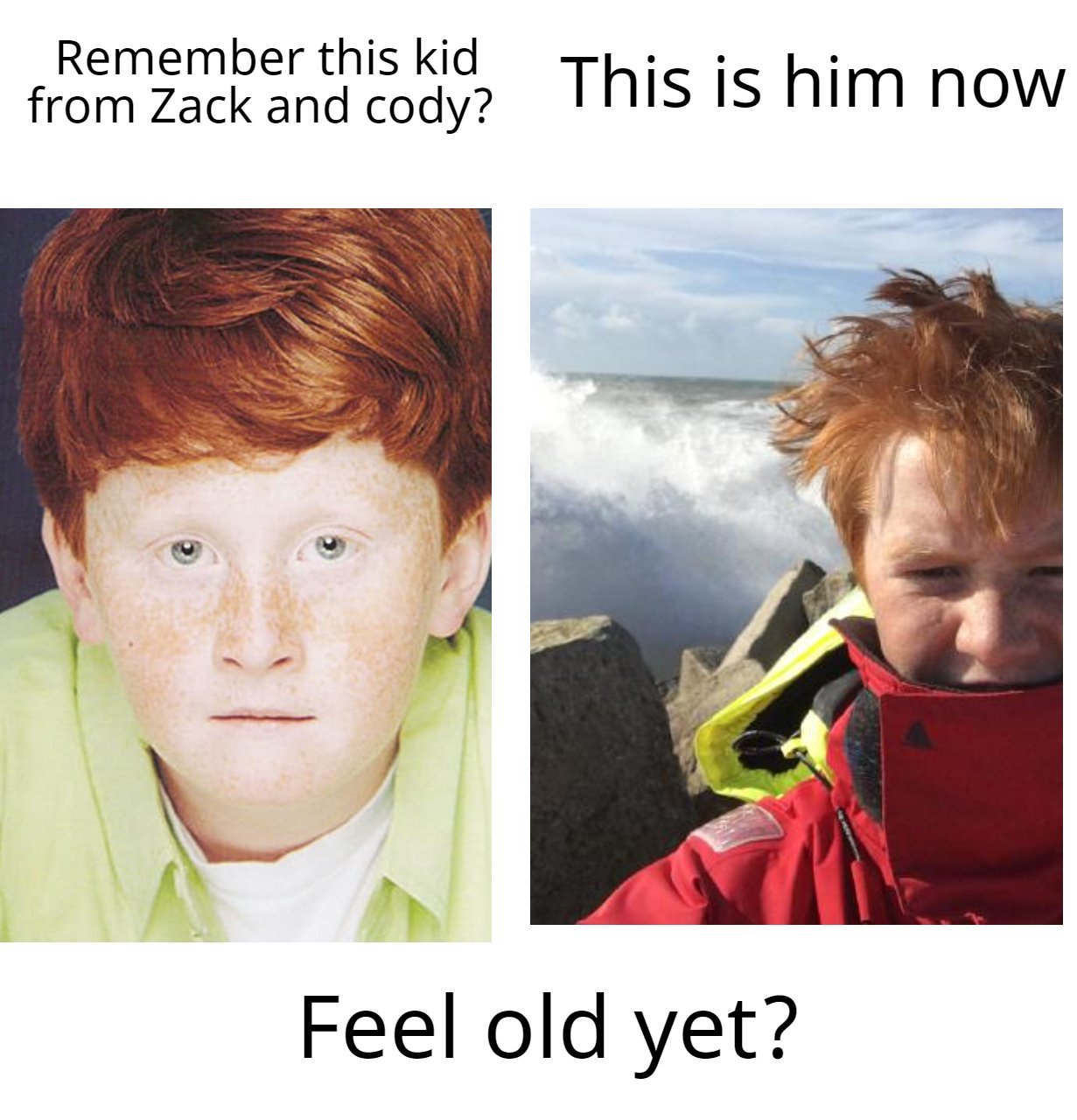 zed_old.jpeg
