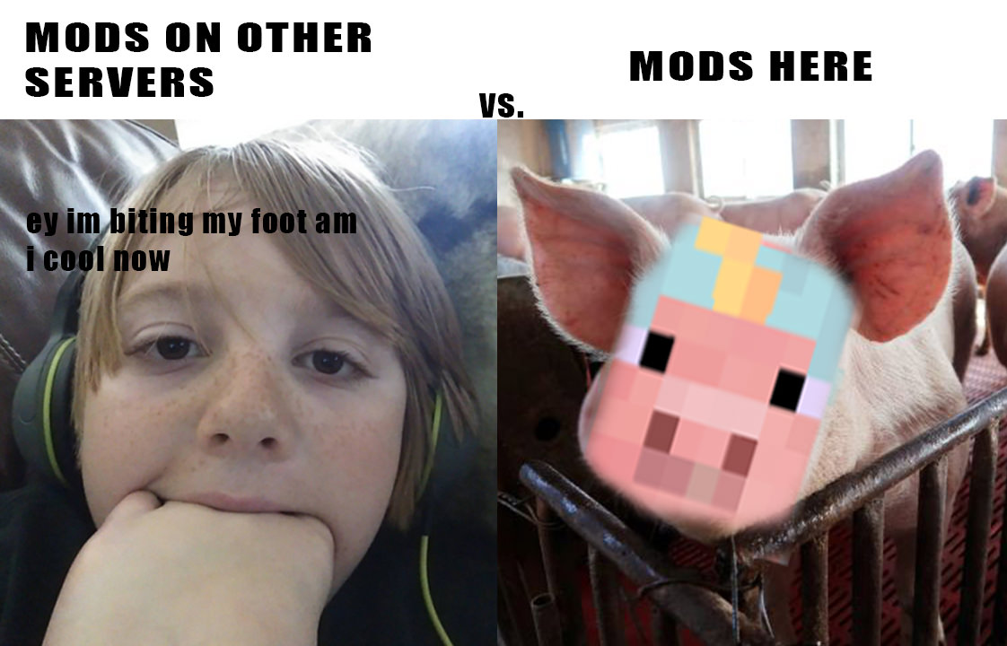 PrheyD3.jpg