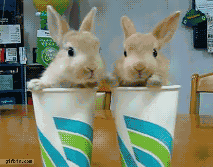 33e.gif