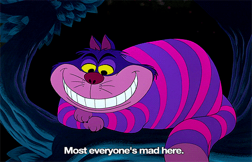 tumblr_n2xt1r3Vcx1tqs1heo1_500.gif