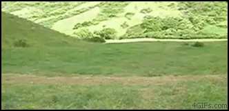 4270668650_3172a0aa6b_o.gif