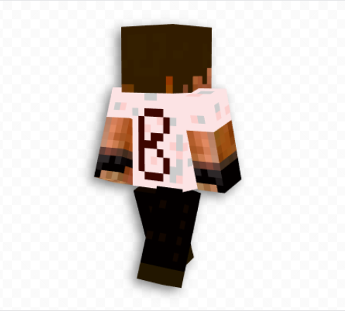 Borgnskin2.png