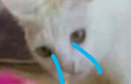 0ncH07Y.png