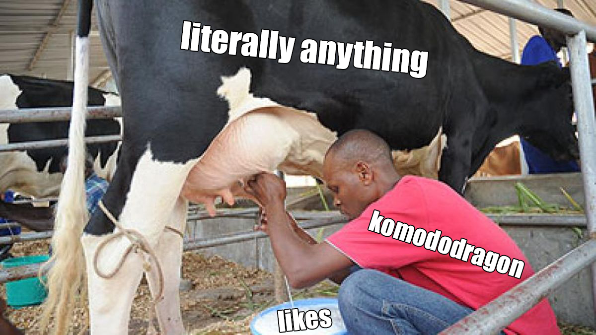 4XiGRkr.jpg