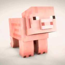 tumblr_mochs4V75i1so8nq7o1_250.gif