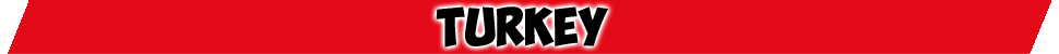 Bandera_Turkey.png