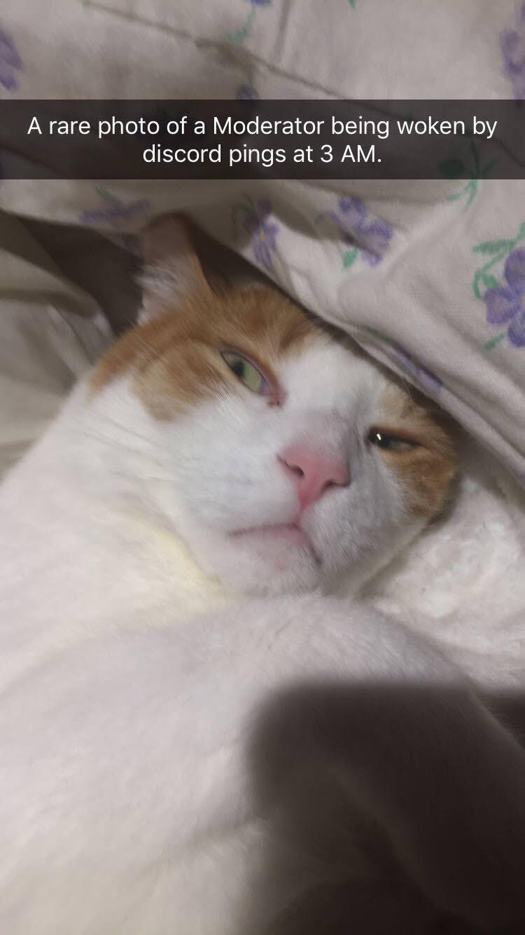 h0zXtwn.jpg