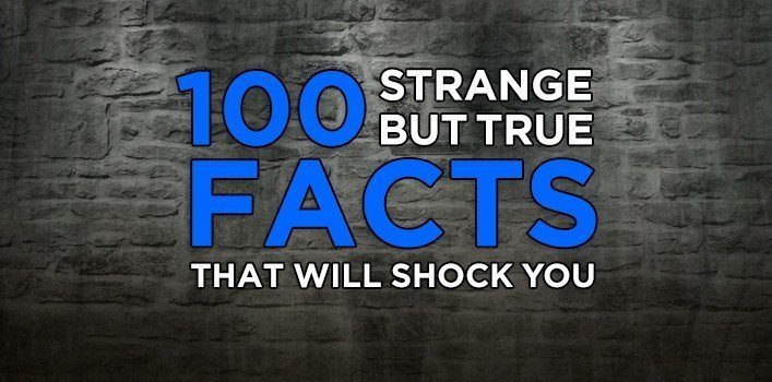 www.thefactsite.com