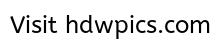 Huh-Are-You-Serious.jpg