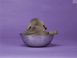 200.gif