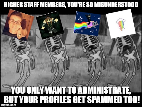 1bi601.jpg
