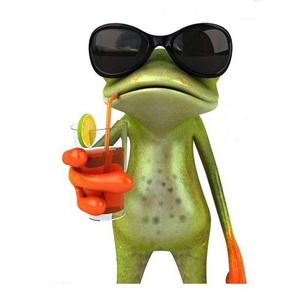 dMdZvD9.jpg