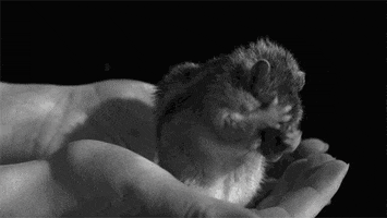 200.gif